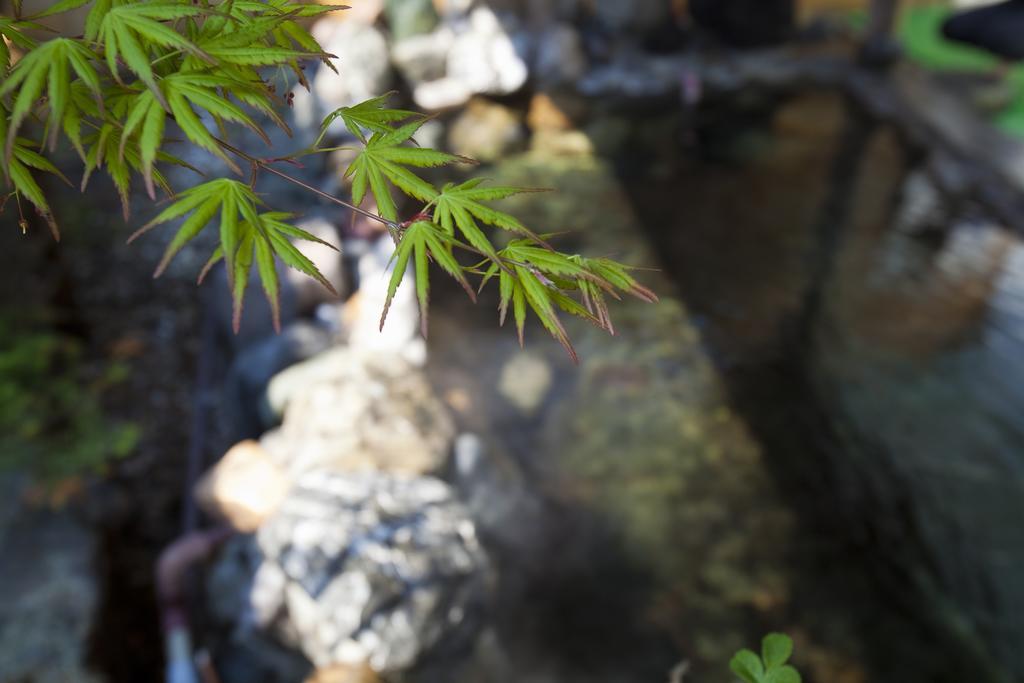 Puruke-No-Yakata Hotel Kawabata Shibetsu  Εξωτερικό φωτογραφία